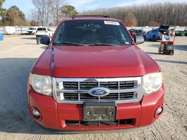 2011 Ford Escape XLT