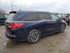 2024 Honda Odyssey EXL