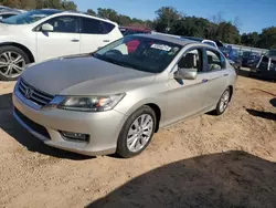 Honda Accord exl salvage cars for sale: 2013 Honda Accord EXL