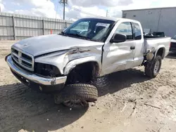 Salvage cars for sale at Jacksonville, FL auction: 2001 Dodge Dakota