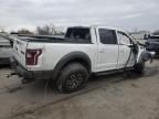 2017 Ford F150 Raptor