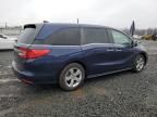 2019 Honda Odyssey EXL