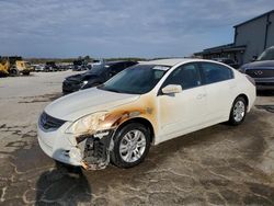 Salvage cars for sale at Memphis, TN auction: 2012 Nissan Altima Base