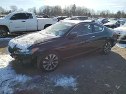 Salvage cars for sale at Chalfont, PA auction: 2013 Honda Accord EXL