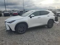 Salvage cars for sale at Lawrenceburg, KY auction: 2024 Lexus NX 250 Premium