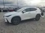 2024 Lexus NX 250 Premium