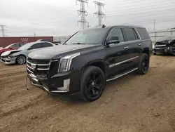 Salvage cars for sale at Elgin, IL auction: 2016 Cadillac Escalade Luxury