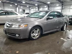 Acura salvage cars for sale: 2008 Acura TL