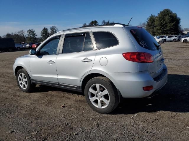 2009 Hyundai Santa FE SE