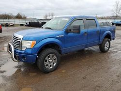 Salvage cars for sale at Columbia Station, OH auction: 2009 Ford F150 Supercrew