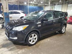 Salvage cars for sale at Woodhaven, MI auction: 2014 Ford Escape SE