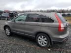 2009 Honda CR-V EXL