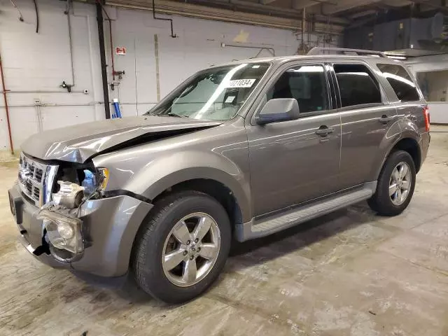 2009 Ford Escape XLT