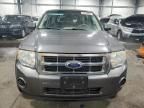 2011 Ford Escape XLS