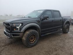 Salvage cars for sale at Houston, TX auction: 2017 Ford F150 Raptor