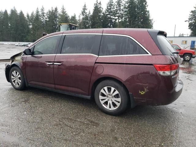 2014 Honda Odyssey EXL