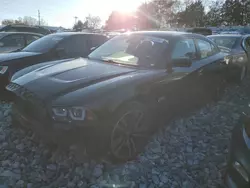 Dodge salvage cars for sale: 2013 Dodge Charger Super BEE