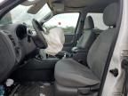 2005 Ford Escape XLT