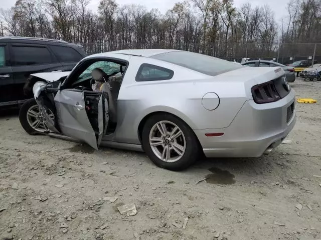 2014 Ford Mustang