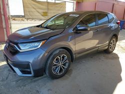 Salvage cars for sale at Sun Valley, CA auction: 2020 Honda CR-V EX