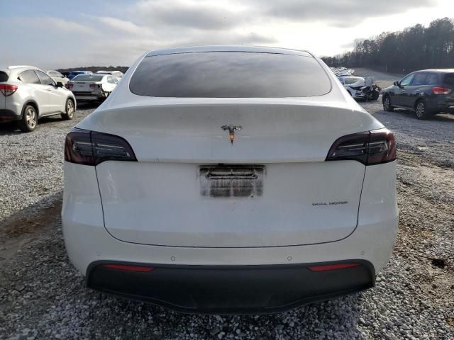 2020 Tesla Model Y