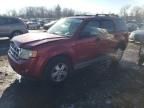 2008 Ford Escape XLT