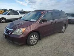 Salvage cars for sale at Lumberton, NC auction: 2009 Honda Odyssey EXL