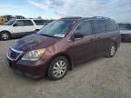 2009 Honda Odyssey EXL