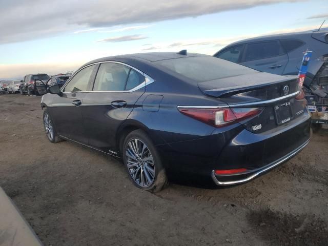 2019 Lexus ES 300H