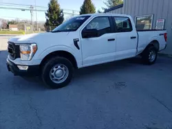 Salvage cars for sale at Finksburg, MD auction: 2022 Ford F150 Supercrew