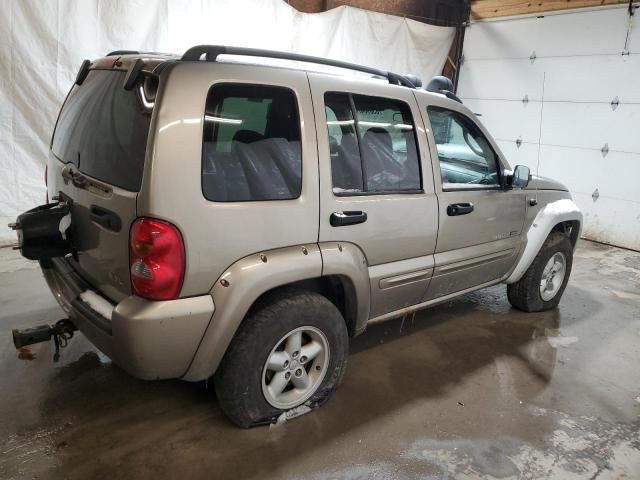 2002 Jeep Liberty Renegade