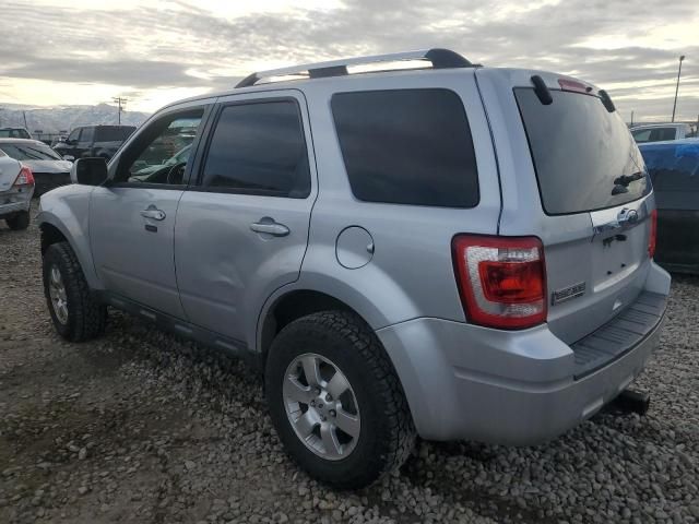 2012 Ford Escape Limited