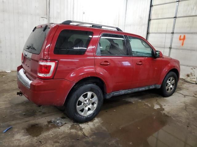 2011 Ford Escape Limited