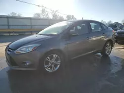 Salvage cars for sale at Lebanon, TN auction: 2013 Ford Focus SE