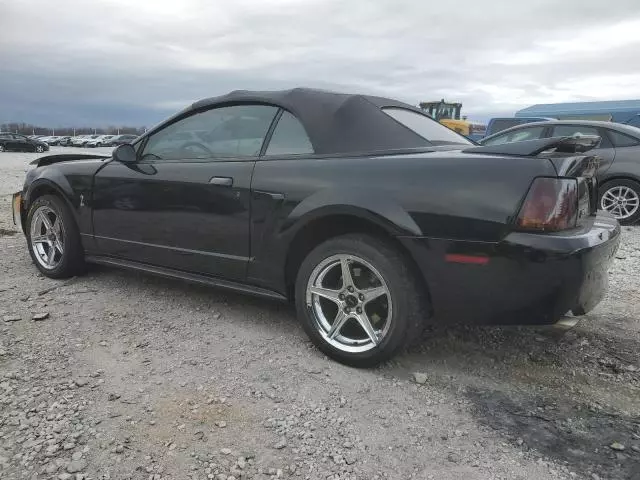 1999 Ford Mustang Cobra SVT