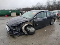 Ford Fusion se salvage cars for sale: 2013 Ford Fusion SE