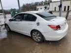 2009 Honda Accord EX