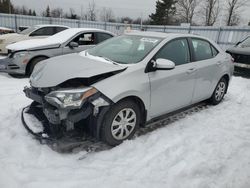 Salvage cars for sale from Copart Bowmanville, ON: 2014 Toyota Corolla L