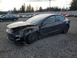 2024 Tesla Model 3 en venta en Graham, WA