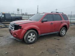 2012 Ford Escape XLT en venta en Chicago Heights, IL