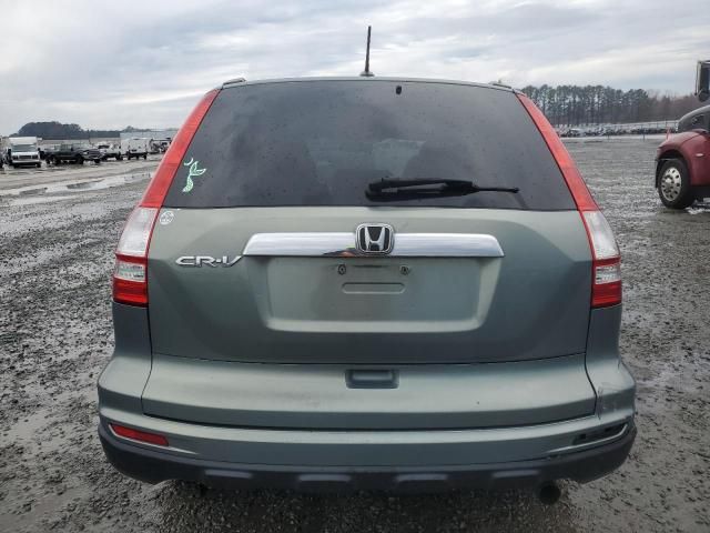 2010 Honda CR-V EXL