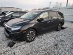 2022 Honda Odyssey EXL