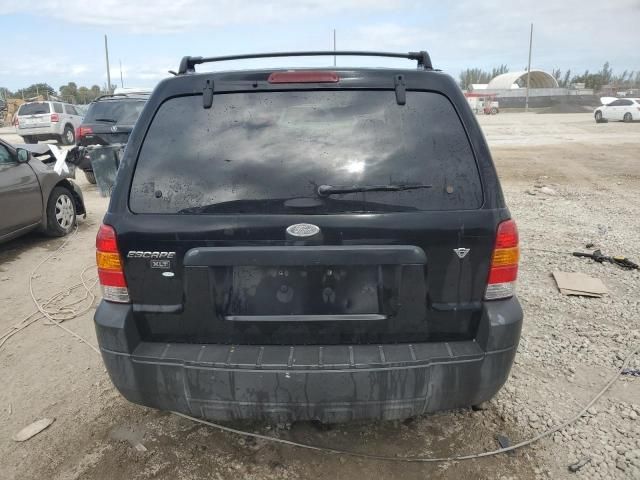 2006 Ford Escape XLT