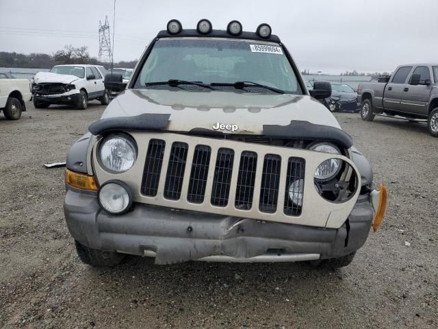 2005 Jeep Liberty Renegade