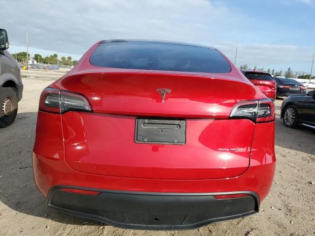 2020 Tesla Model Y