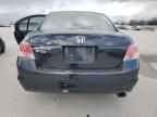 2010 Honda Accord EX