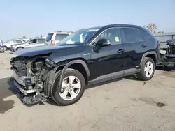 Salvage cars for sale at Bakersfield, CA auction: 2019 Toyota Rav4 XLE