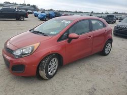 Salvage cars for sale at Harleyville, SC auction: 2013 KIA Rio LX