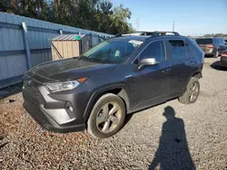 Toyota rav4 xle Premium salvage cars for sale: 2021 Toyota Rav4 XLE Premium