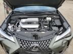 2024 Lexus UX 250H Base